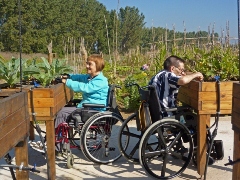 Imagen de un huerto urbano accesible para personas discapacitadas.