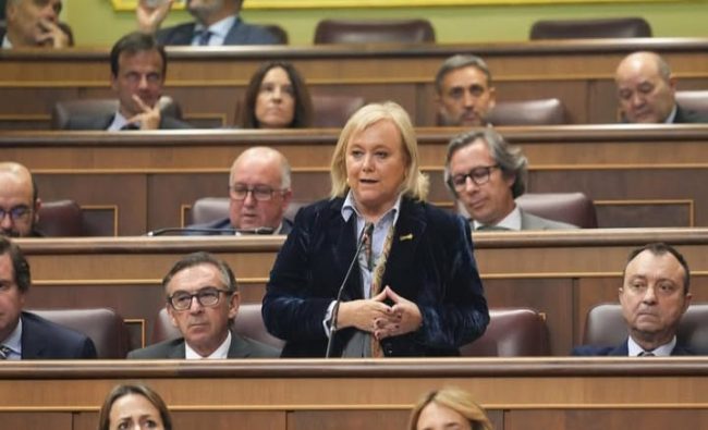Mercedes Fernández en el Congreso de los Diputados