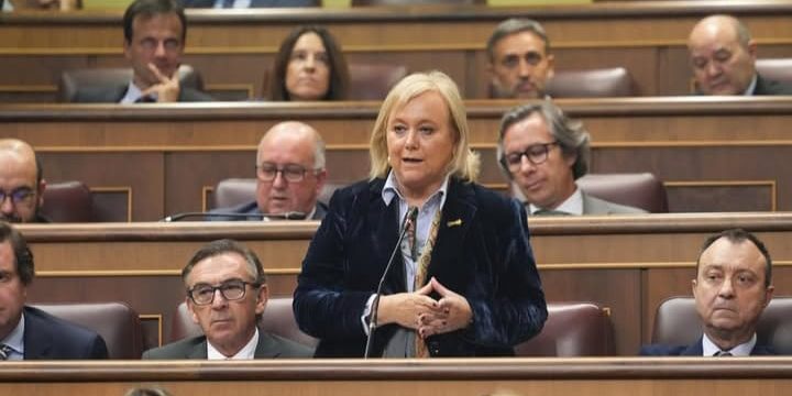 Mercedes Fernández en el Congreso Mercedes Fernández en el Congreso de los Diputados