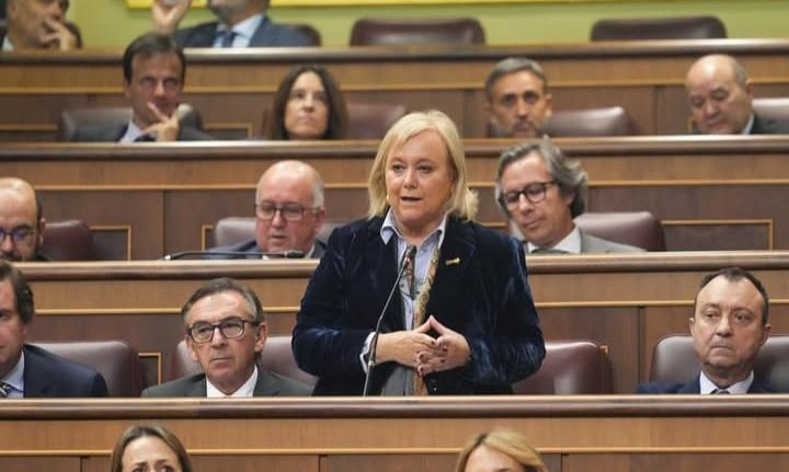 Mercedes Fernández en el Congreso de los Diputados